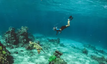 Kabupaten Biak Numfor, Papua Akan Bangun Museum Bawah Laut