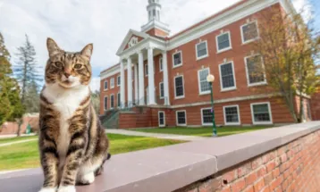 Max si Kucing Doktor Kehormatan di Bidang Litter-ature  dari Vermont State University