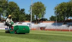 Ini Alasan Stadion Tambaksari Surabaya Dipenuhi Banyak Pohon Besar