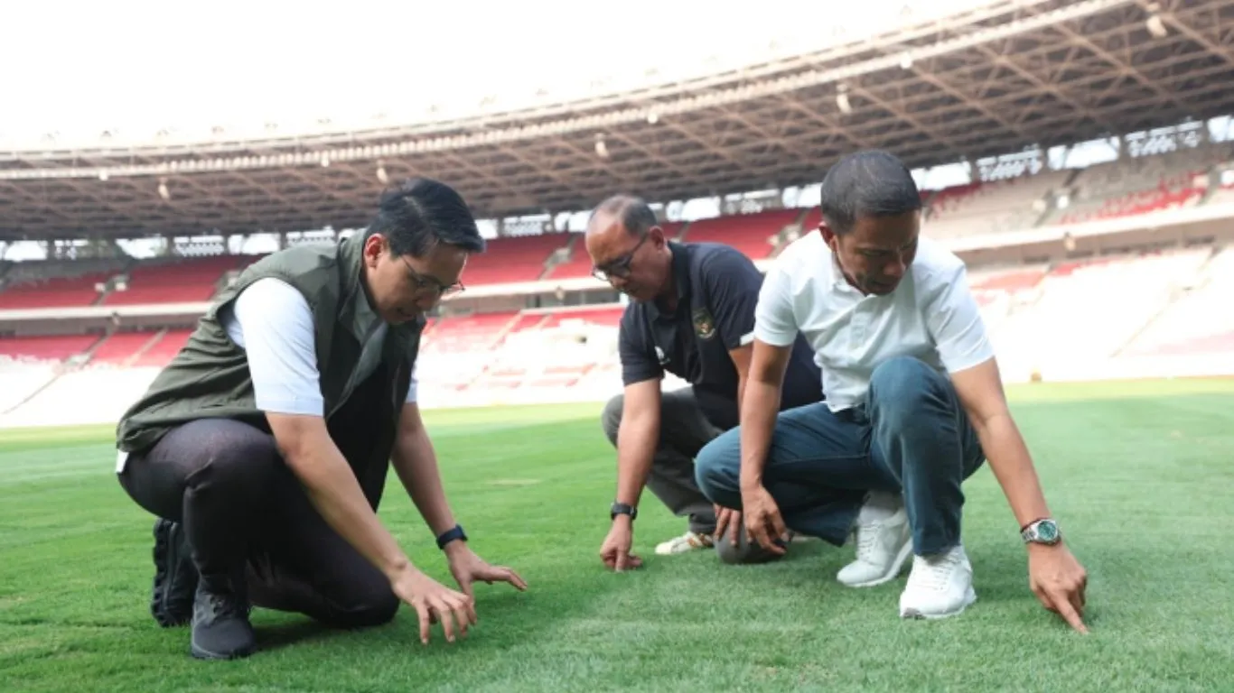 Update Perawatan Rumput di Stadion Gelora Bung Karno Jelang Laga Melawan Australia